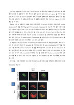 [세포생물학] DLC-AS mediated nuclear import를 이용한 gene therapy-5
