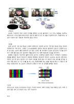 [기술경영] 3DTV사업시장 속 신사업전략-18