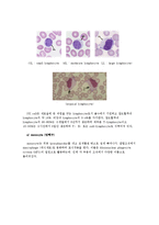 [혈액생리] 실험1 혈구계산-14