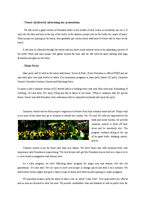 [마케팅전략] Heineken 하이네켄 분석 및 새로운 마케팅전략 제안(영문)-13