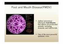[생물학] 구제역바이러스(foot and mouth disease virus)(영문)-5