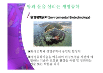 [생명공학] 지구촌 환경문제를 위한 생명공학의 역할-7