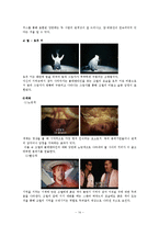 영상문법-영화 `이터널 선샤인`속 미장센, 셔레이드와 편집기법-14