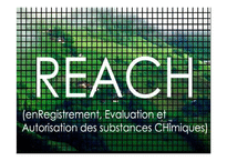 [유럽지역연구] 유럽의 친환경 규제정책 REACH시스템 도입과 경제활동-1
