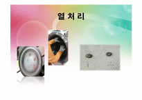 [신소재 공학] 청동 재료 제조 및 XRD, SEM 을 이용한 관찰-10