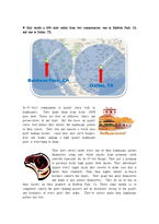 [생산운영관리] 인앤아웃 In-N-Out Burger vs 맥도날드(영문)-19