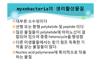 Myxobacteria와 Dictyostelium 에 대해서-15