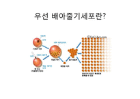 황우석 사태와 한국의 과학전쟁-5