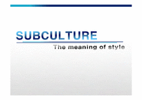 미디어의 이해-하위문화(subculture)의 이해-1