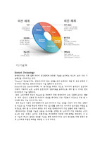 [글로벌전략] 한국타이어(HANKOOK TIRE) 성공 사례 분석-6