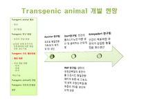 [동물발생학] Transgenic mammal에서 transgenic가축의 이용 현황과 전망 그리고 문제점-8
