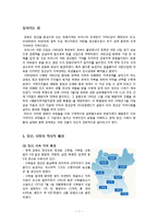 [지역사회복지론] 지역사회운동 사례분석(사북, 정선 폐광촌 다시 살리기 운동의 개요 및 지역사회복지적 의의)-2