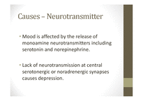 [생리심리] Neurobiology of Depression(영문)-6