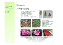 [아이디어] 식물 관찰을 통한 새로운 마우스 디자인-4