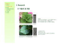 [아이디어] 식물 관찰을 통한 새로운 마우스 디자인-5