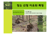 [산림생물학 및 실험] 아까시(아카시아) 나무의 관찰-16