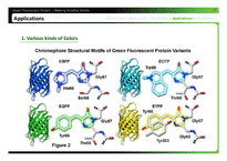 녹색형광단백질 GFP(Green Fluorescent Protein) 보이게 하기(영문)-16