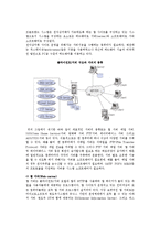 전자상거래 시스템 구성(전자상거래 하드웨어시스템, 인터넷 프로그래밍, 운영환경)-3