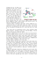 [한국행정론] 한국의 지방자치 현황과 문제점-10