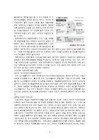 [한국행정론] 한국의 지방자치 현황과 문제점-11