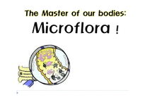 [유가공학] 마이크로플로러(Microflora)(미생물상)의 효능(영문)-1