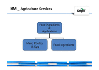 애그리플레이션(agriflation)과 글로벌 농기업 카길(Cargill) 분석-18