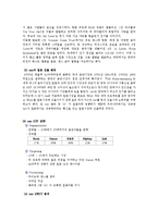 SM 엔터테인먼트의 해외시장 성공과 실패사례0k-6