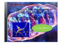 [생물학 실험] 세포 내 공생설(Endosymbiont Theory)과 진화-12