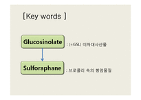 [생명공학] Broccoli with sulforaphane-4
