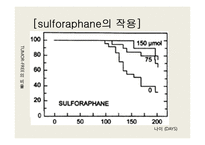 [생명공학] Broccoli with sulforaphane-8