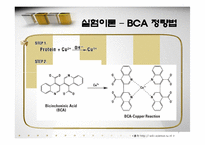 [단위조작실험] BCA를 이용한 단백질정량분석-7