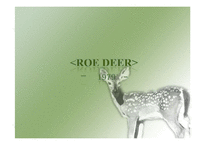 [영미문학] 테드 휴즈의 시 분석-Roe Deer, The Thought-Fox(영문)-3