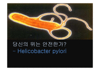 [간호학] 헬리코박터(H.pylori) 감염과 치료 및 예방-1