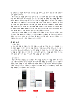 [소비자 행동론] 김치냉장고 `딤채` 소비자 의사결정 과정-4