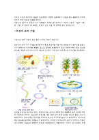 [기술과 사회] 유전자 조작식품(GMO)-3