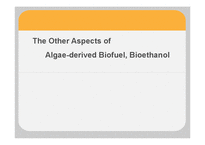 [생명공학] 논문 요약-The Other Aspects of Algae-Derived Biofuel, Bioethanol(영문)-1