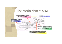 [물리화학] Mechanism of TEM-16