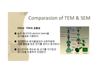 [물리화학] Mechanism of TEM-20