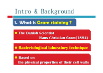 [화학공학] GRAM staining 그램염색 & observation of bacteria-6