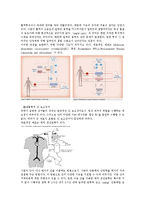 [세포 및 조직공학] 간의 구조와 기능 및 질병, 간세포이식, 간 보조장치-9