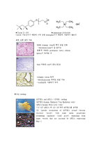 [세포 및 조직공학] 간의 구조와 기능 및 질병, 간세포이식, 간 보조장치-15