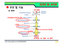 [기기분석] SEM & AFM-9