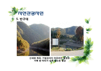 [지역개발] 울산광역시 관광마케팅 전략-12
