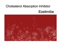 콜레스테롤 흡수 억제제-에제티미브(ezetimibe)-1