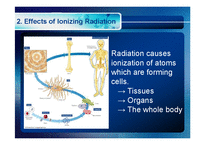 방사선 치료의 생물학적 효과-4