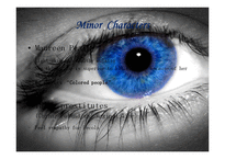 [영미문학] 토니모리슨의 `가장 푸른 눈(the bluest eye)`분석(영문)-7