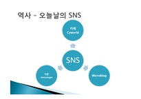 SNS 소셜네트워크서비스 역사및 국내외SNS사이트 이용현황분석(페이스북,트위터,MSN)-6