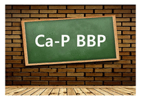 [생체] Ca-P BBP 레포트-1
