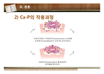[생체] Ca-P BBP 레포트-18