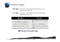 [한국주거사] 풍수지리의 이해와 적용-6